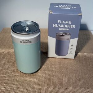New In Box Humidifier in Pale Green